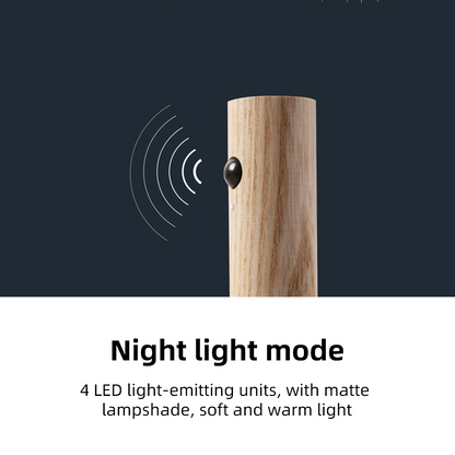 One Portable Wireless Lamp Sensor Auto Motion Detector Lamp